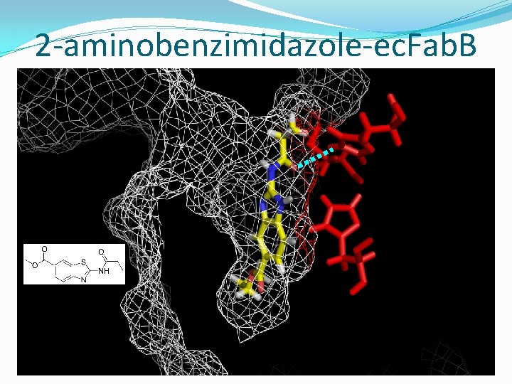 2 -aminobenzimidazole-ec. Fab. B 