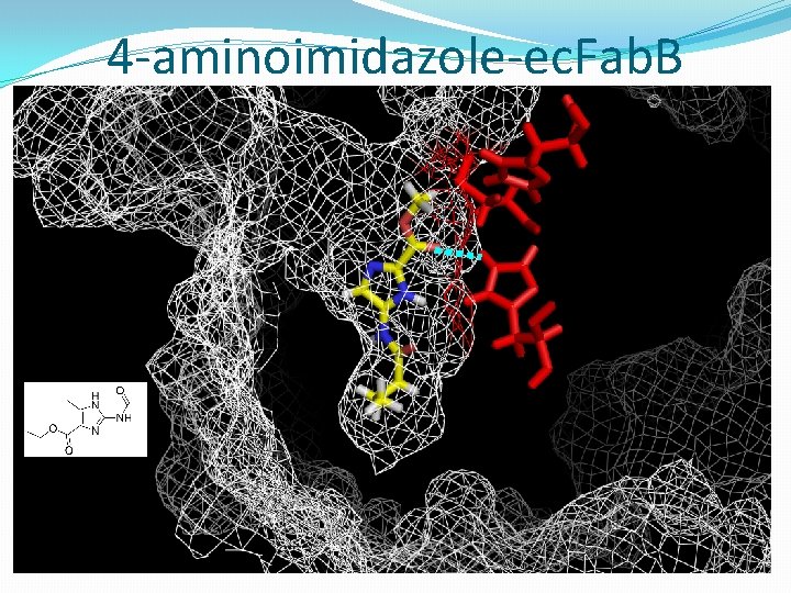 4 -aminoimidazole-ec. Fab. B 