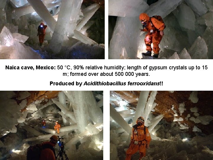 Naica cave, Mexico: 50 °C, 90% relative humidity; length of gypsum crystals up to