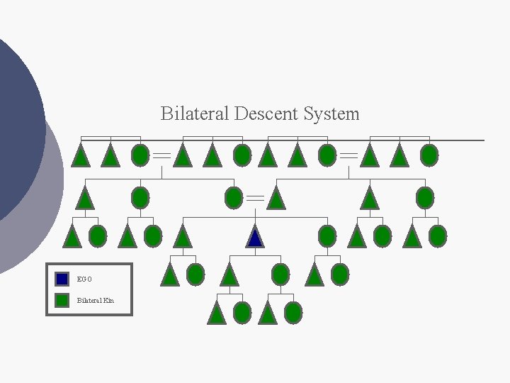 Bilateral Descent System EGO Bilateral Kin 