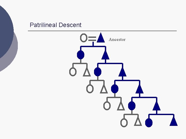 Patrilineal Descent Ancestor 