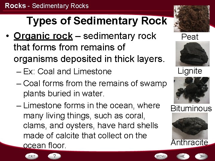 Rocks - Sedimentary Rocks Types of Sedimentary Rock • Organic rock – sedimentary rock