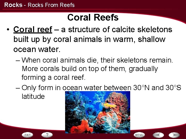 Rocks - Rocks From Reefs Coral Reefs • Coral reef – a structure of