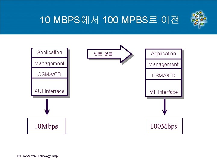 10 MBPS에서 100 MPBS로 이전 Application 변동 없음 Application Management CSMA/CD AUI Interface MII 10 MBPS에서 100 MPBS로 이전 Application 변동 없음 Application Management CSMA/CD AUI Interface MII
