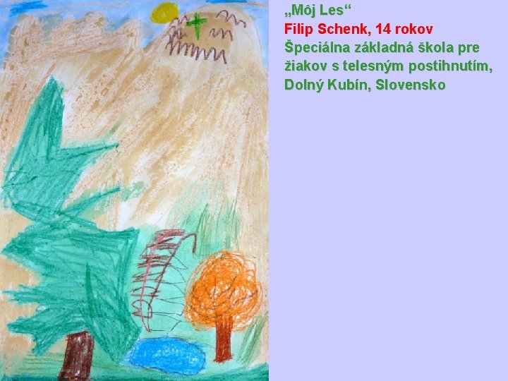 „Môj Les“ Filip Schenk, 14 rokov Špeciálna základná škola pre žiakov s telesným postihnutím,