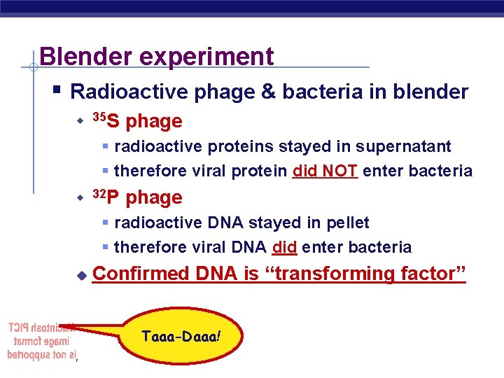 Blender experiment § Radioactive phage & bacteria in blender u 35 S phage §