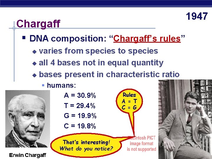 Chargaff § DNA composition: “Chargaff’s rules” varies from species to species u all 4