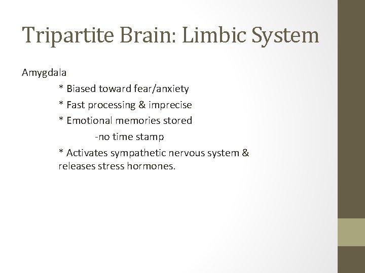 Tripartite Brain: Limbic System Amygdala * Biased toward fear/anxiety * Fast processing & imprecise