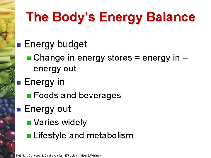 The Body’s Energy Balance n Energy budget n n Energy in n n Change