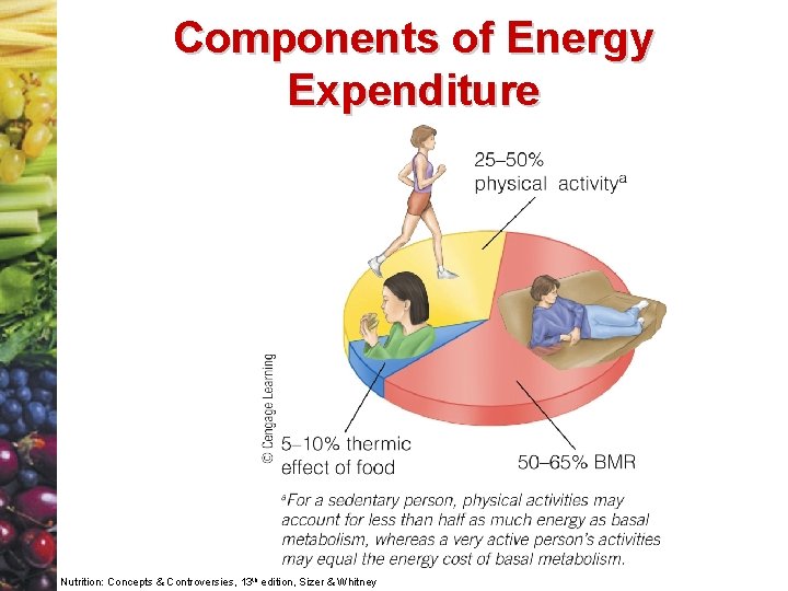 Components of Energy Expenditure Nutrition: Concepts & Controversies, 13 th edition, Sizer & Whitney