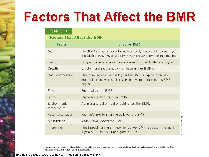 Factors That Affect the BMR Nutrition: Concepts & Controversies, 13 th edition, Sizer &