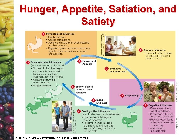 Hunger, Appetite, Satiation, and Satiety Nutrition: Concepts & Controversies, 13 th edition, Sizer &