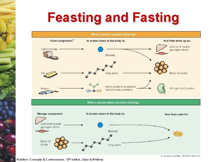 Feasting and Fasting Nutrition: Concepts & Controversies, 13 th edition, Sizer & Whitney 