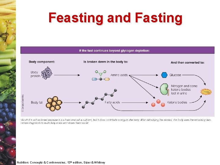 Feasting and Fasting Nutrition: Concepts & Controversies, 13 th edition, Sizer & Whitney 