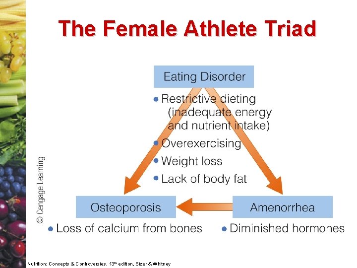 The Female Athlete Triad Nutrition: Concepts & Controversies, 13 th edition, Sizer & Whitney
