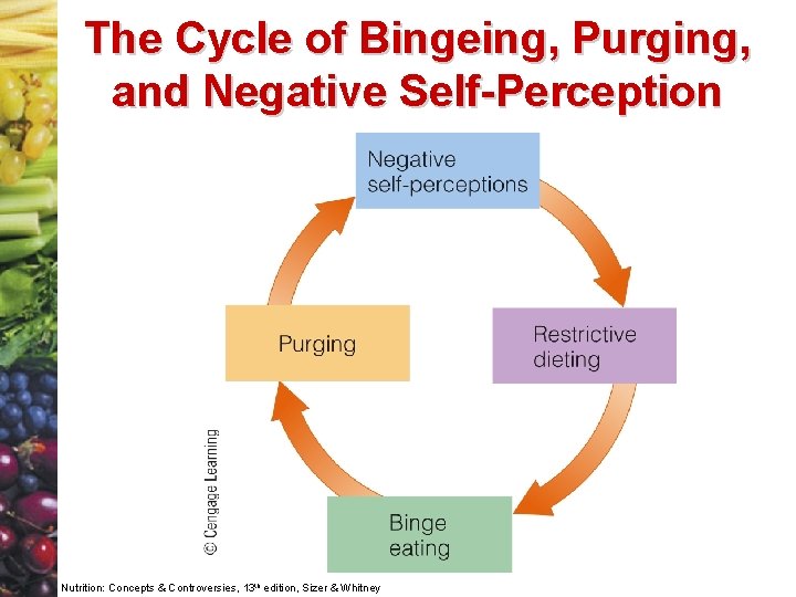 The Cycle of Bingeing, Purging, and Negative Self-Perception Nutrition: Concepts & Controversies, 13 th