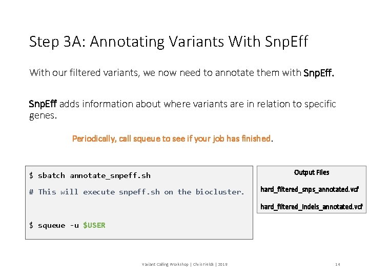 Step 3 A: Annotating Variants With Snp. Eff With our filtered variants, we now