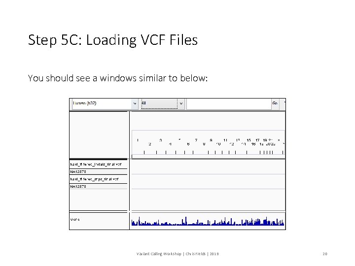Step 5 C: Loading VCF Files You should see a windows similar to below: