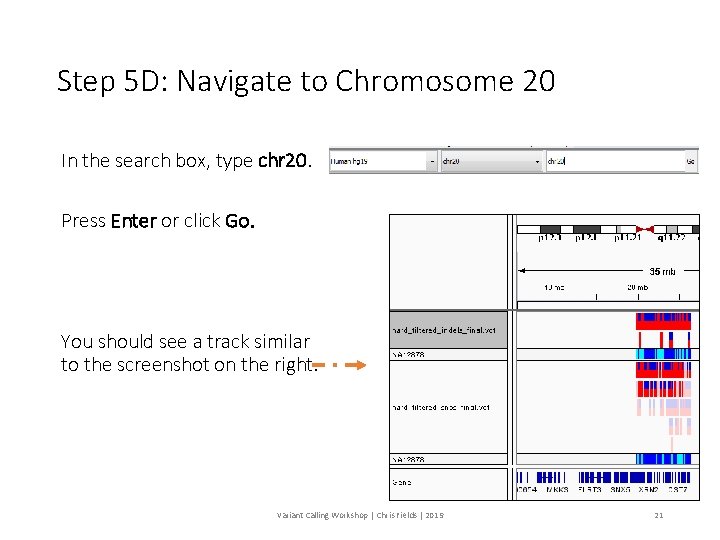 Step 5 D: Navigate to Chromosome 20 In the search box, type chr 20.