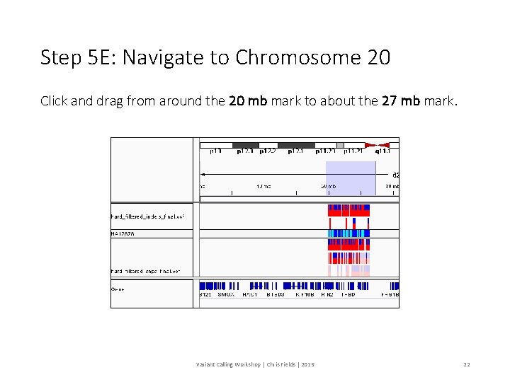 Step 5 E: Navigate to Chromosome 20 Click and drag from around the 20