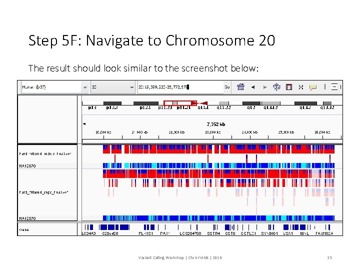 Step 5 F: Navigate to Chromosome 20 The result should look similar to the