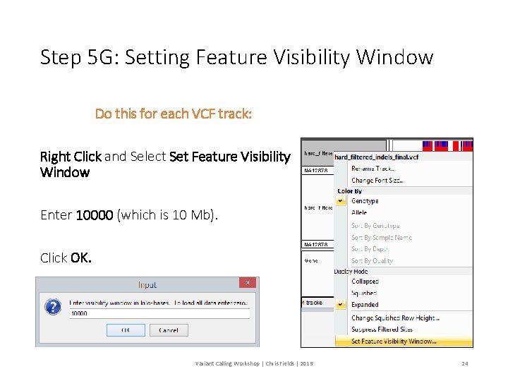 Step 5 G: Setting Feature Visibility Window Do this for each VCF track: Right