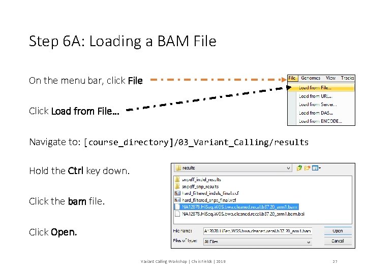 Step 6 A: Loading a BAM File On the menu bar, click File Click