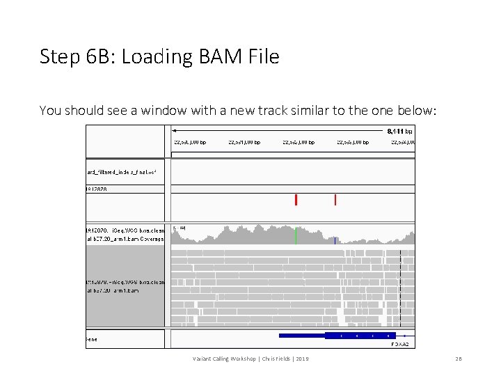 Step 6 B: Loading BAM File You should see a window with a new