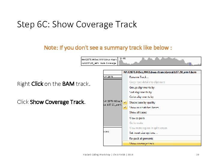 Step 6 C: Show Coverage Track Note: If you don't see a summary track