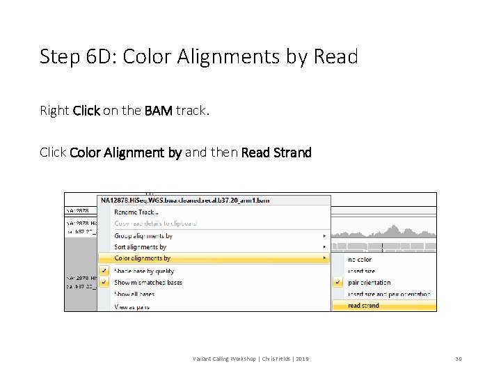 Step 6 D: Color Alignments by Read Right Click on the BAM track. Click