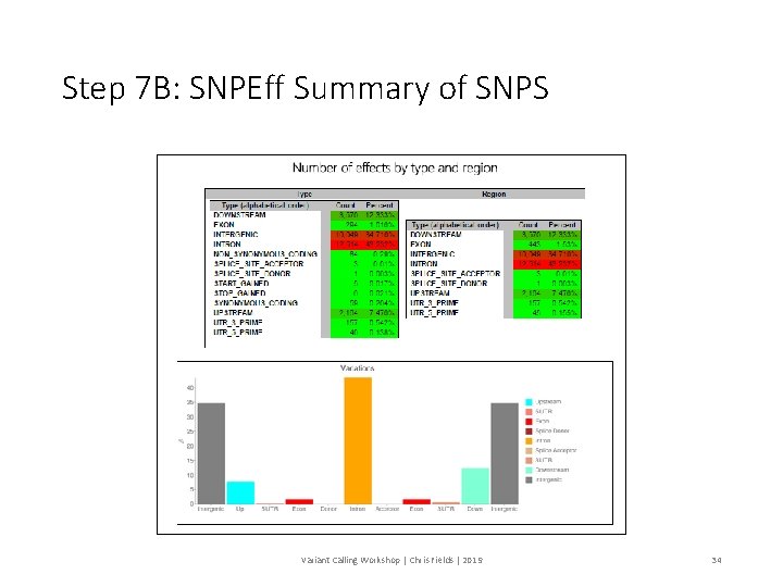 Step 7 B: SNPEff Summary of SNPS Variant Calling Workshop | Chris Fields |