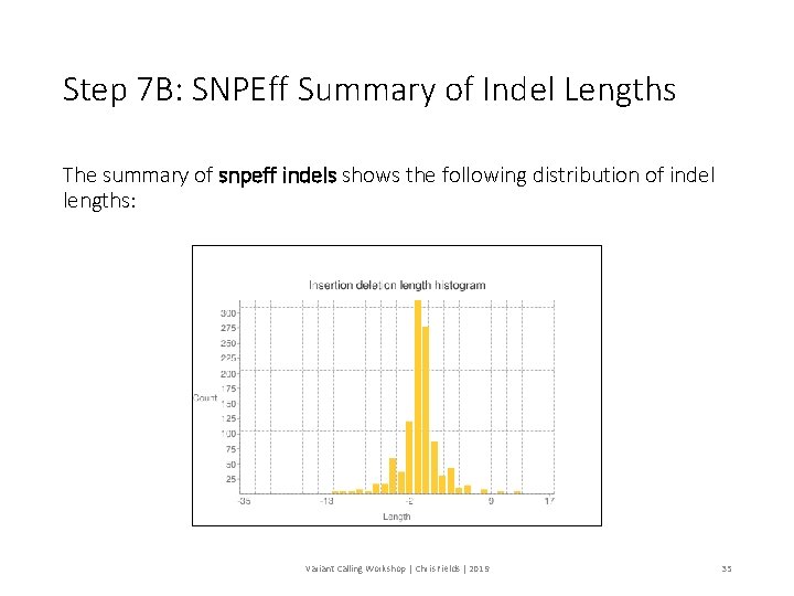 Step 7 B: SNPEff Summary of Indel Lengths The summary of snpeff indels shows