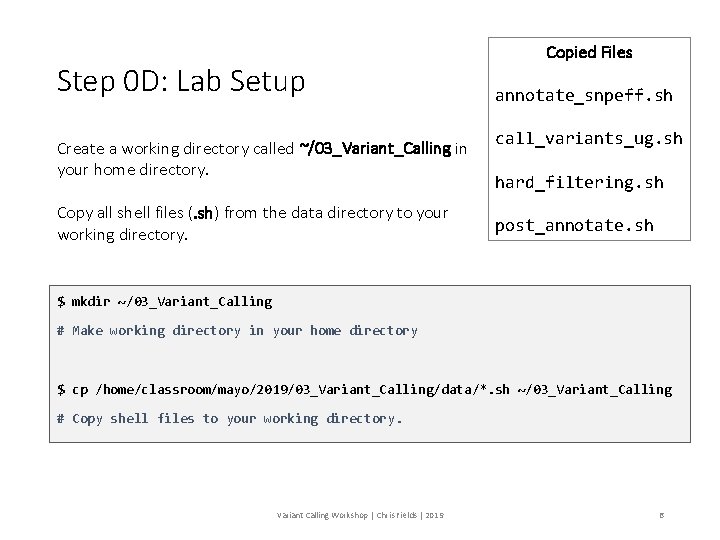 Step 0 D: Lab Setup Create a working directory called ~/03_Variant_Calling in your home