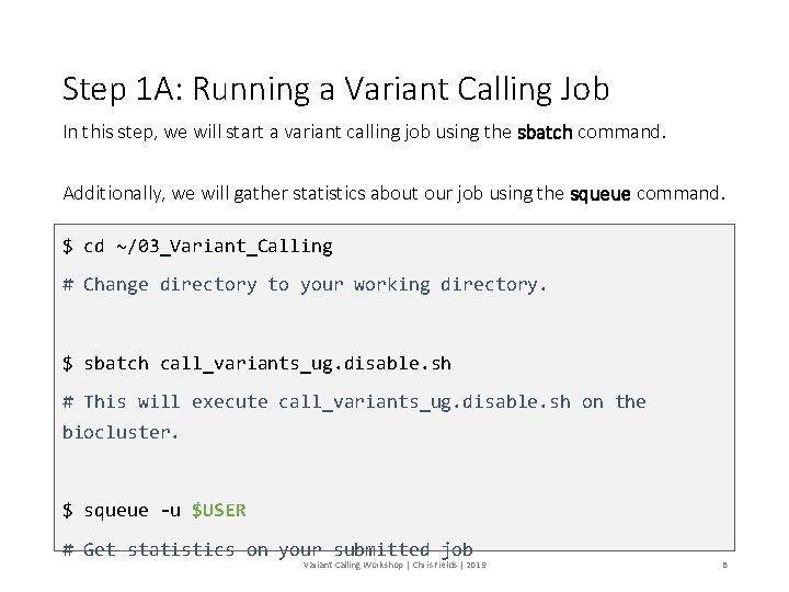 Step 1 A: Running a Variant Calling Job In this step, we will start