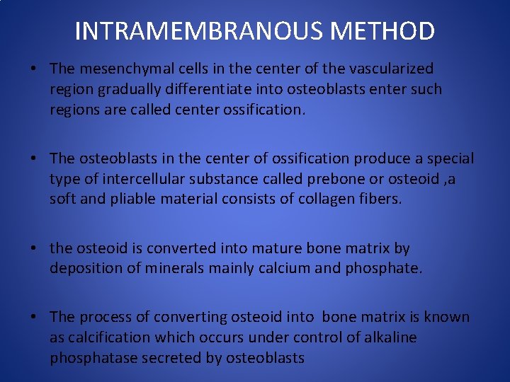 INTRAMEMBRANOUS METHOD • The mesenchymal cells in the center of the vascularized region gradually