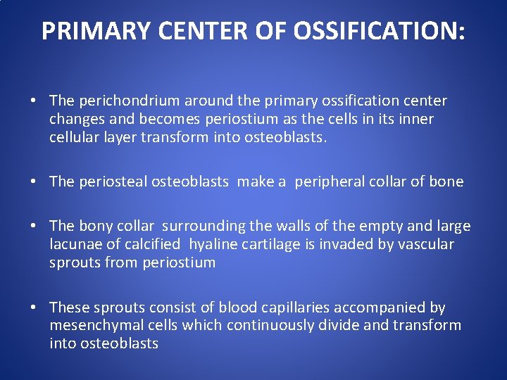 PRIMARY CENTER OF OSSIFICATION: • The perichondrium around the primary ossification center changes and