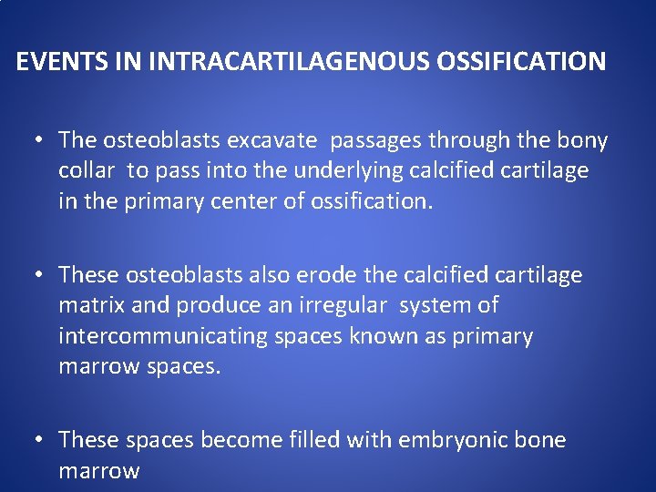 EVENTS IN INTRACARTILAGENOUS OSSIFICATION • The osteoblasts excavate passages through the bony collar to