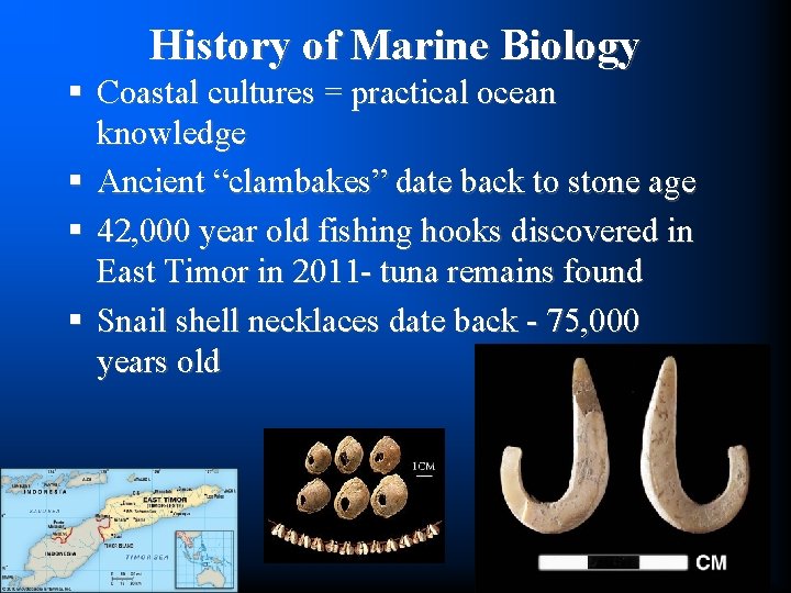 History of Marine Biology § Coastal cultures = practical ocean knowledge § Ancient “clambakes”