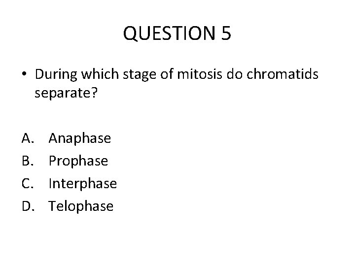 QUESTION 5 • During which stage of mitosis do chromatids separate? A. B. C.