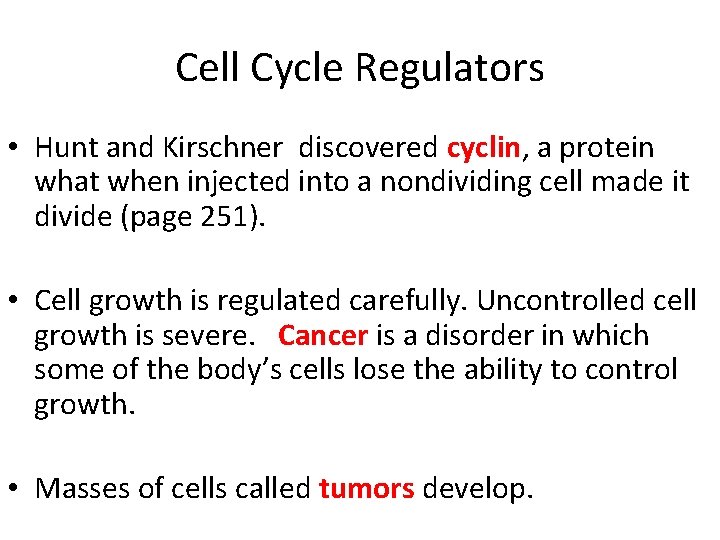 Cell Cycle Regulators • Hunt and Kirschner discovered cyclin, a protein what when injected