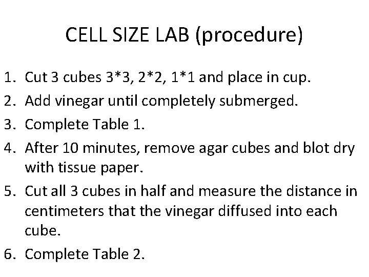 CELL SIZE LAB (procedure) 1. 2. 3. 4. Cut 3 cubes 3*3, 2*2, 1*1