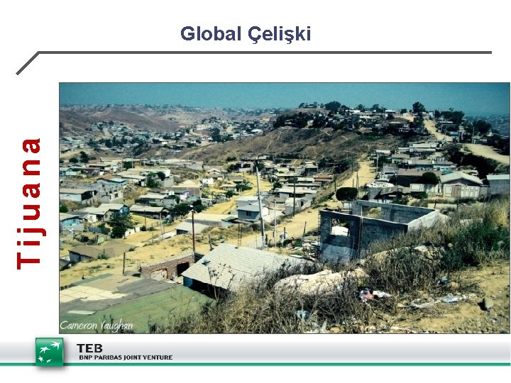 Tijuana Global Çelişki 