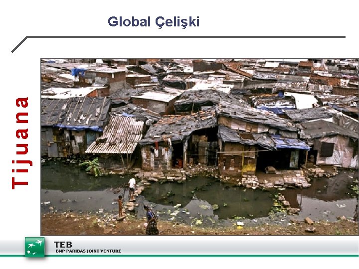 Tijuana Global Çelişki 