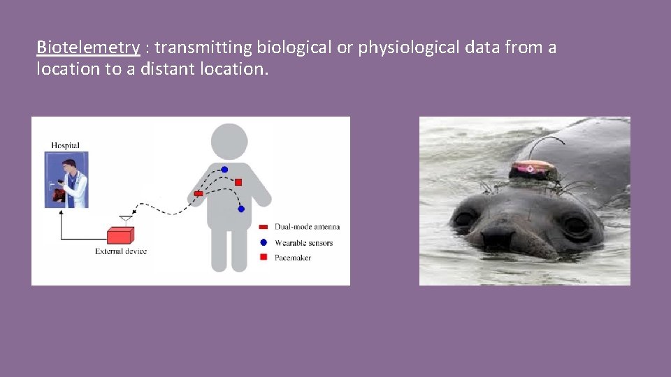 Biotelemetry : transmitting biological or physiological data from a location to a distant location.