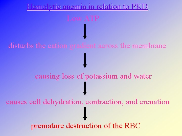 Hemolytic anemia in relation to PKD Low ATP disturbs the cation gradient across the
