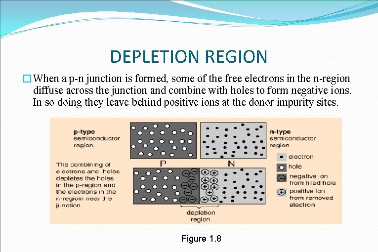 DEPLETION REGION �When a p-n junction is formed, some of the free electrons in