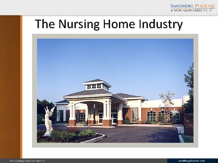 The Nursing Home Industry 