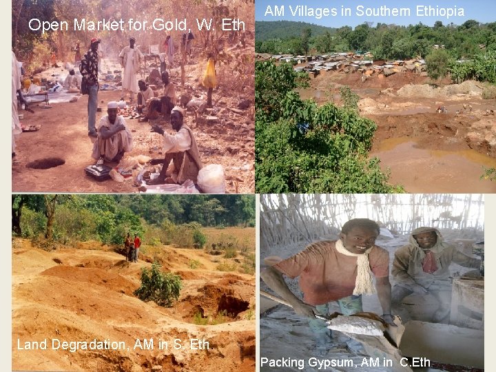 Open Market for Gold, W. Eth AM Villages in Southern Ethiopia Land Degradation, AM