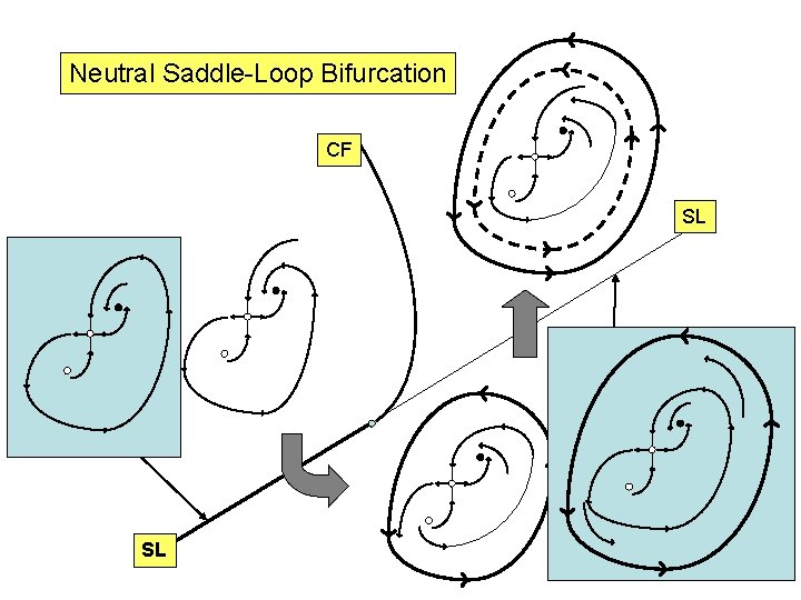 Neutral Saddle-Loop Bifurcation CF SL SL 