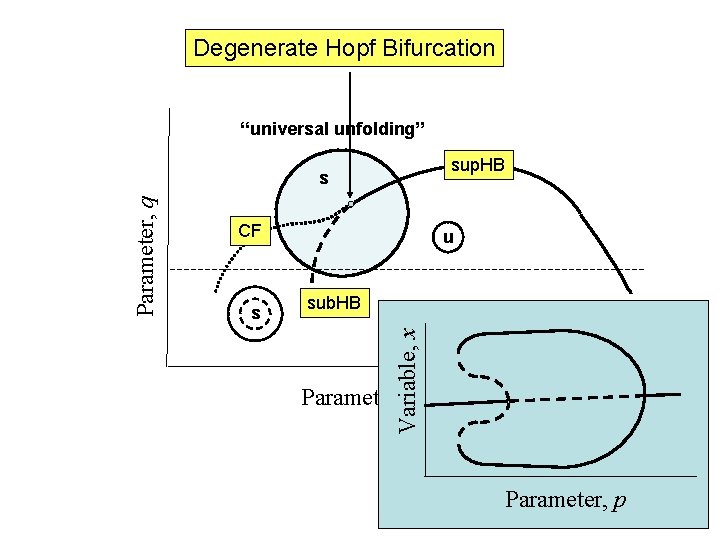 Degenerate Hopf Bifurcation “universal unfolding” sup. HB CF s u sub. HB Variable, x